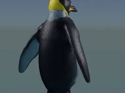 Emperor Penguin 3D model