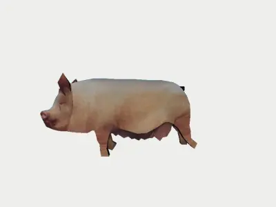 Pig from the farm 3D model