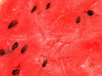 Fresh Food Watermelon Half with Cut Slices 3D model