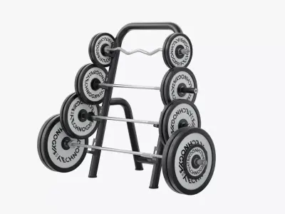 Technogym Barbell Rack Fitness 3D model
