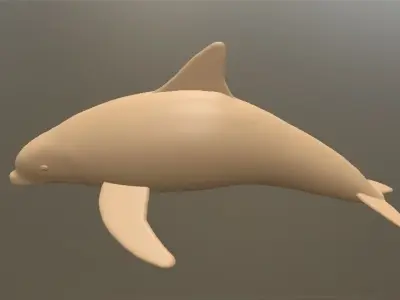 Dolphin 3D model Free 3D print model purchase