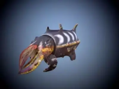 Cuttlefish octopus 3D model