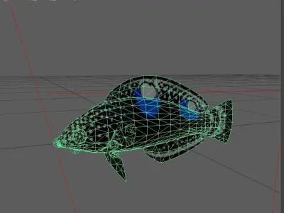 Wrasse Low-poly 3D model 8