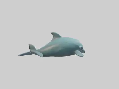 Sleeping Dolphin Model Low-poly 3D model