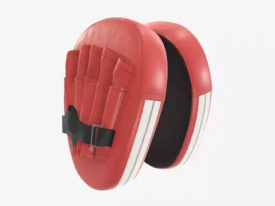 Punch mitts 3D model