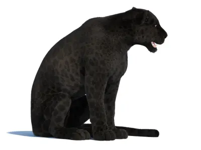 Rigged Black Panther Fur 