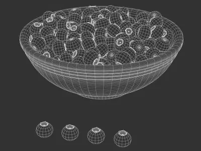  Blueberries Fruit Food Model  purchase
