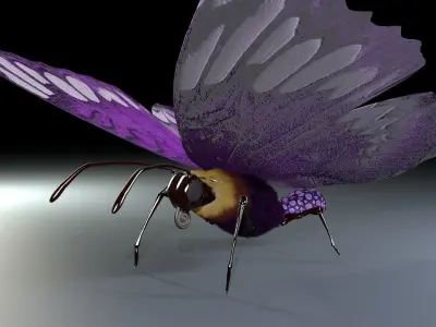 Purple Butterfly 3D model