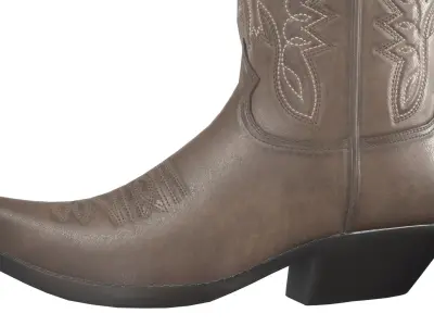 Brown Western Boots(1) 3D model