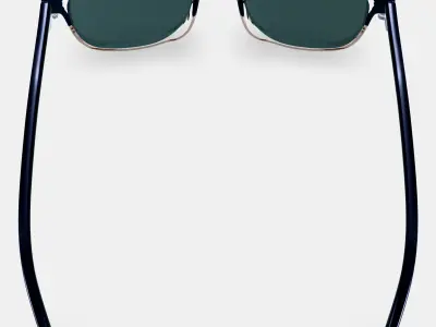 Downing Sunglasses in Antique Shale Fade 3D model