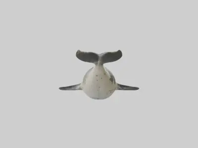 Harbor Seal diving model Low-poly 3D model