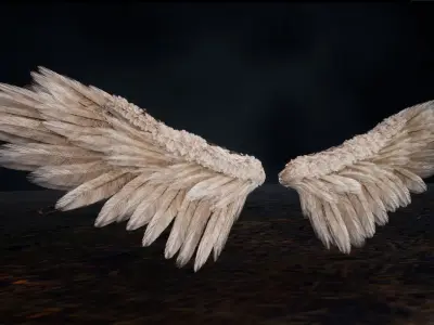 Angel Wings Low-poly 3D model purchase