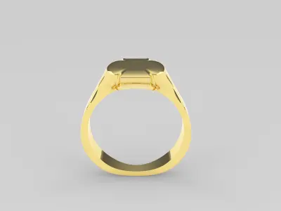 Rings Women And Man Rings 3dm 3D print model
