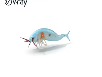 Bioluminescent Marine Creature Model Pack Low-poly 3D model