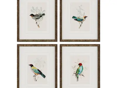 Pictures896 four framed bird prints Low-poly 3D model