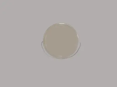 Paint Bucket 3D model buy