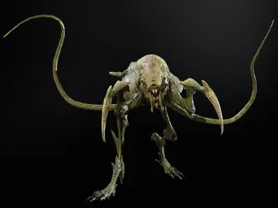 Raptor Low-poly 3D model get