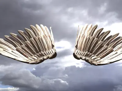 Serafim Wings 4  3D model