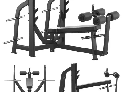  E-7041 Olympic Decline Bench 3D model