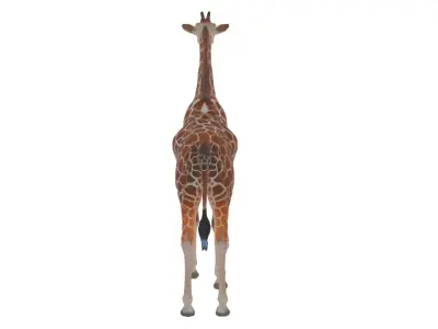 Giraffe Low-poly 3D model order