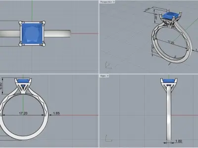 ring code 118 3D print model