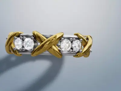 Tiffany X ring 3D print model