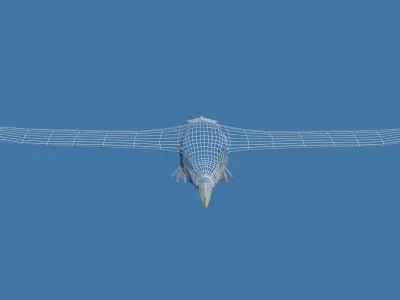 Albatross seagull Low-poly 3D model
