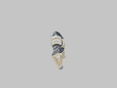 Medieval Royal armor set gold Low-poly 3D model