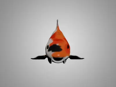 Koi Fish 3D model buy