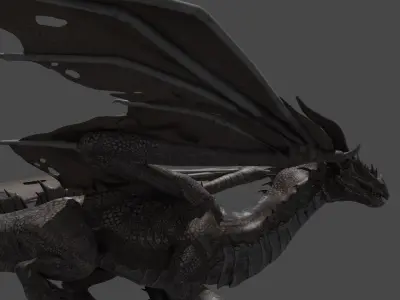 dragon 3D model 10