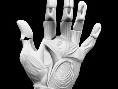 Stylized Robotic Hand 3D Model Low-poly 3D model