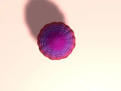 Dragon Egg Model Low-poly 3D model
