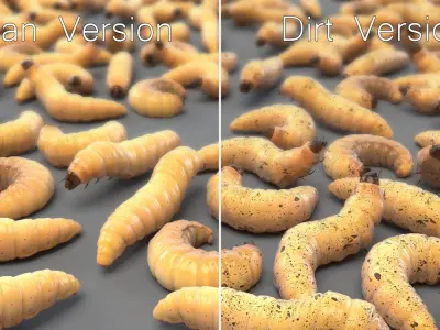 Maggot (Rigged) 3D model