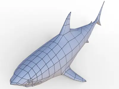Shark Low-poly 3D model 37