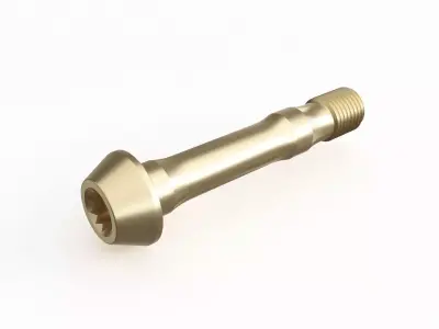 Screw 75 3D model