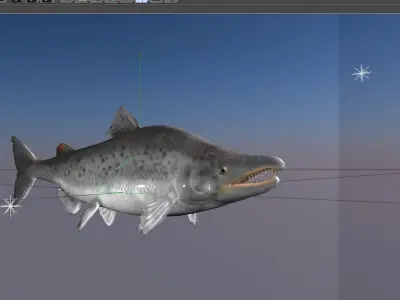 Salmon Model With A Rig 3D model