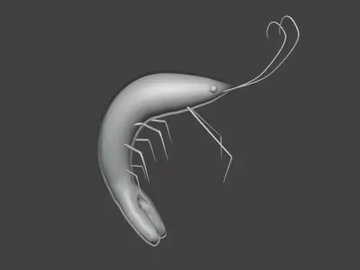 3D mini Shrimp  Low-poly 3D model