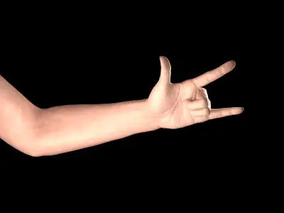 Female Hand Rigged 3D model