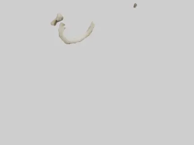 Elephant Humerus 3D model