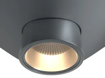 Gall lamp Black and White 3D model