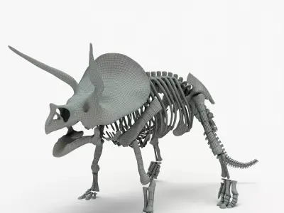 Triceratops Rigged Skeleton Low-poly 3D model