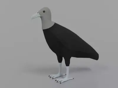 Low poly Cartoon Black Vulture Low-poly 3D model