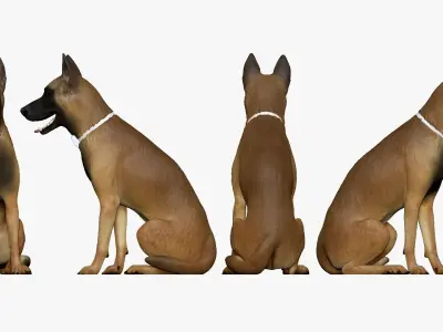 001207 shepherd 3D model
