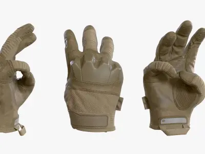 Tactical Gloves 3D model