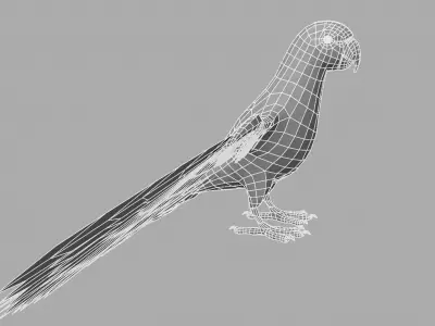 Green Parrot 3D model purchase