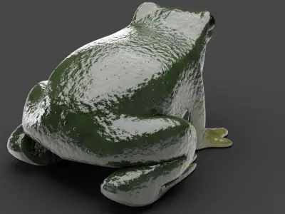 Green frog 3D model