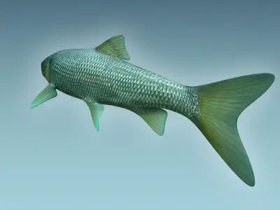 Troutfish shark flying in sky 3D model