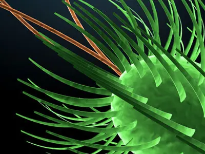Micro cells models collection 3D model purchase
