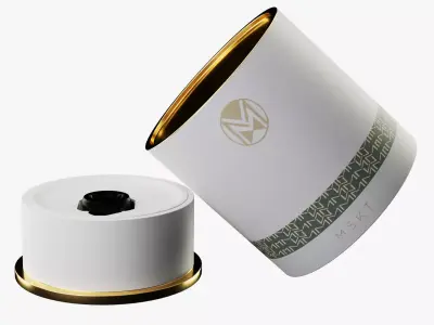 Premium Watch Box 3D model