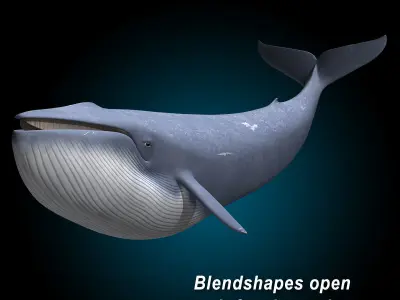 Blue Whale 3D model get